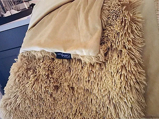 Celebrity Home Throw Blanket 64" x 48" Gold Shag Soft Fluffy Cozy
